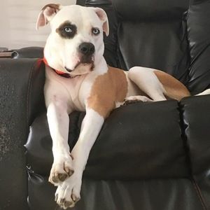 Meet your Posher, Samantha